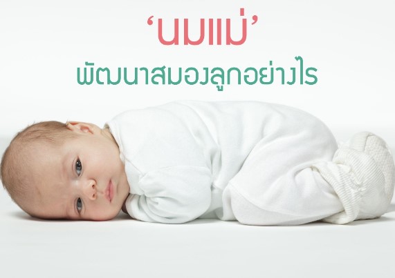ที่มา : www.thaihealth.or.th